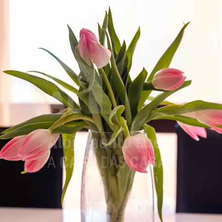 By Acasadascasas * Ericeira