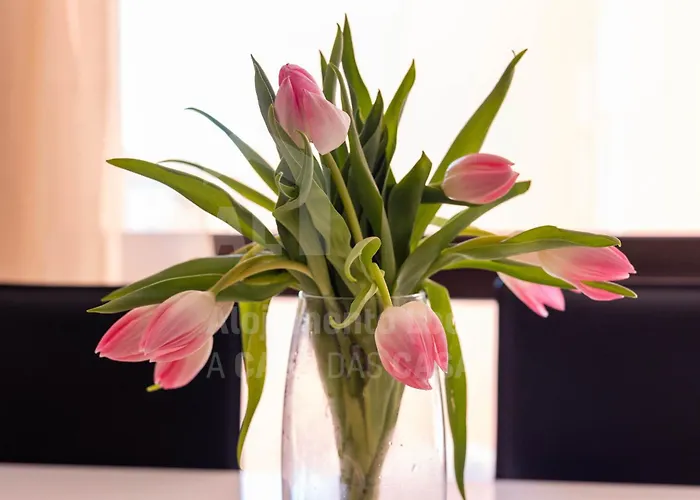 By Acasadascasas * Ericeira